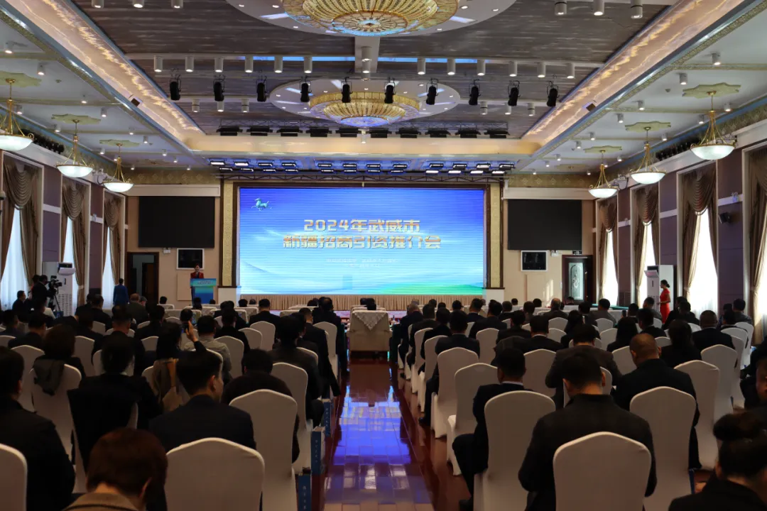 20240327516988.webp 1.webp